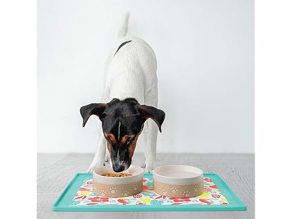 BigMouth Inc Tropical Pet Placemat