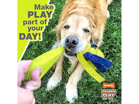 Nylabone Tennis Ball Dog Toy 3pk