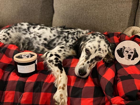 Sand + Paws Scented Candle - White Vanilla