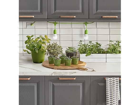 Veggie Grow Kit Tomato 2pk