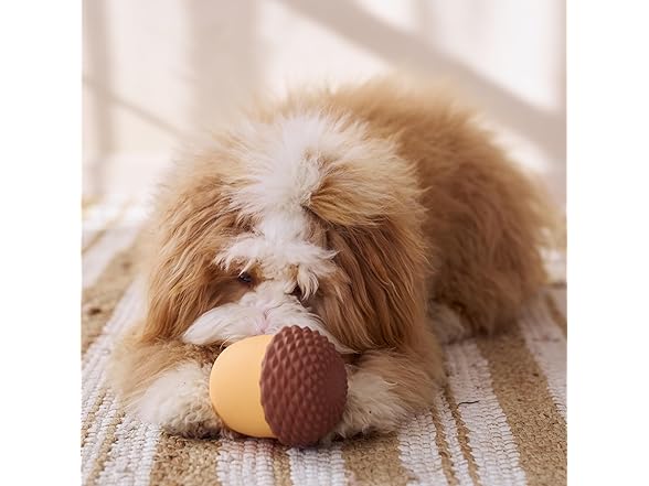 SPOT Treat Tumbler Acorn – Freezable & F