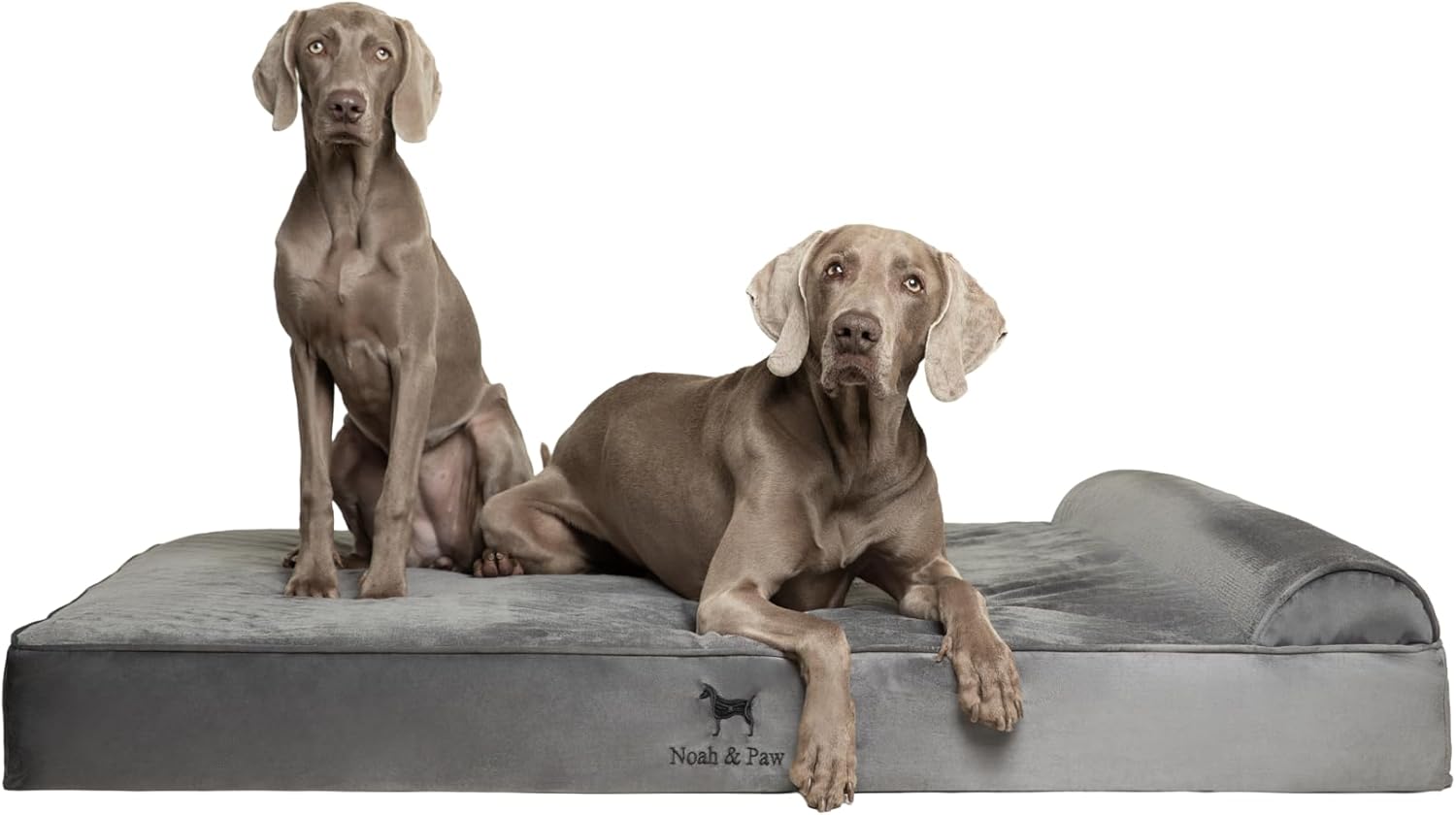 NOAH & PAW Dog Beds- Size and Style VARIES - Gallery 19