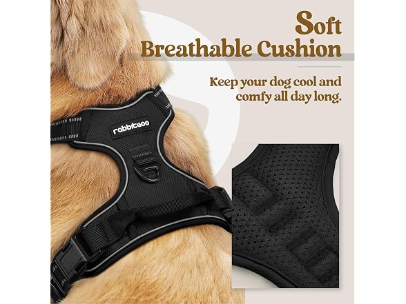 rabbitgoo Dog Harness, No Pull Medium Sized