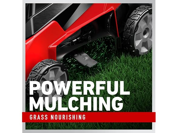 Toro 60V MAX* 21 in. Stripe Push Lawn Mower
