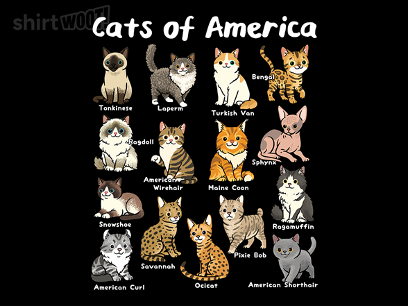 Cats of America