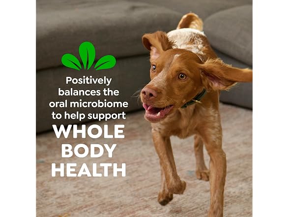 130CT Greenies Veterinarian-Recommended Adult Dog Treats