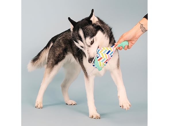 Fringe Studio Plush Dog Toy, Cheers