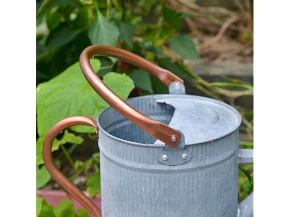 HORTICAN 1 Gallon Metal Watering Can