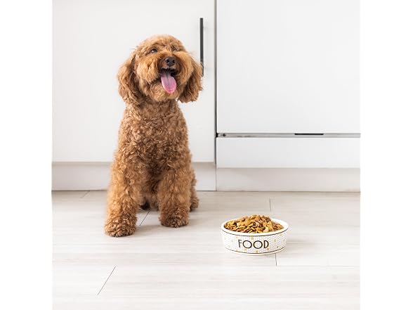Pearhead Ceramic Dog Food Bowl – Bistro Tile