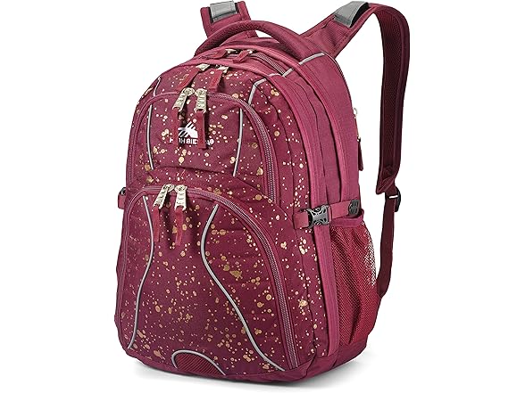 High Sierra Swerve Laptop Backpack