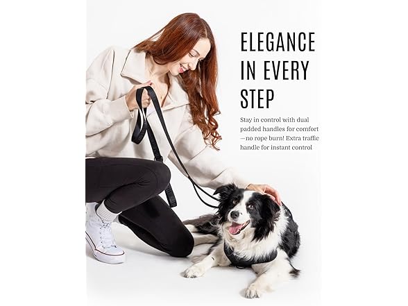 2025 New Edition, Fei and Eve Classic Dog Leash