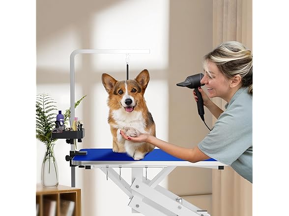 ROOMTEC 42" Hydraulic Pet Grooming Table