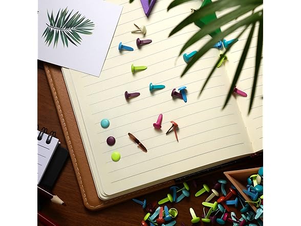 1000 Pcs Paper Brass Fasteners