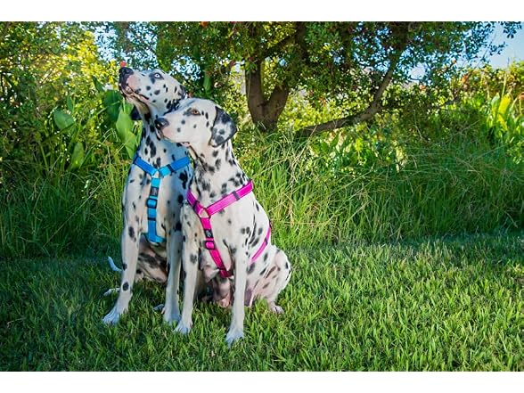 Reflective Adjustable Dog H Harness for Larg