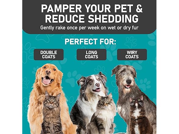 Double Sided Pet Grooming Brush 2-Pack
