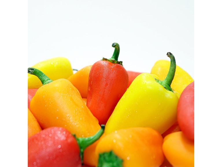 Organic Hanging Planter Bag Kit - Gallery 16