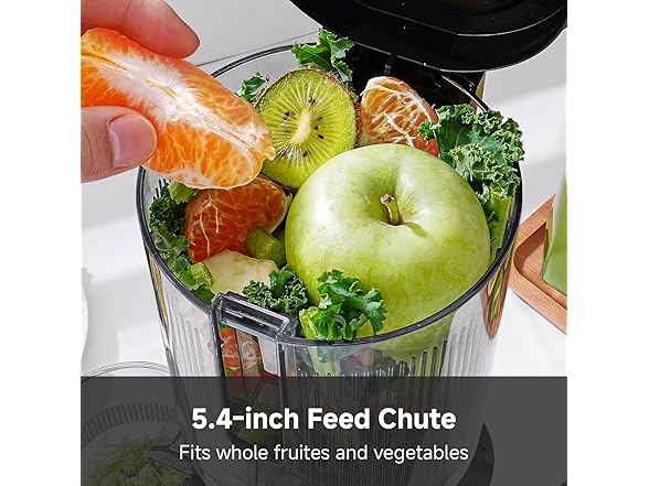 AMZCHEF Cold Press Juicer