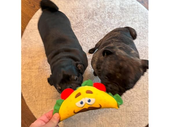 SPOT Fun Food Taco Plush Dog Toy with Squeaker