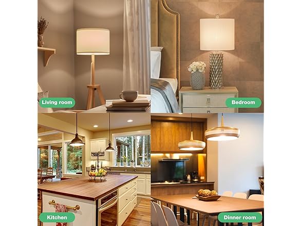 DEGNJU A19 LED Light Bulbs, 100 Watt
