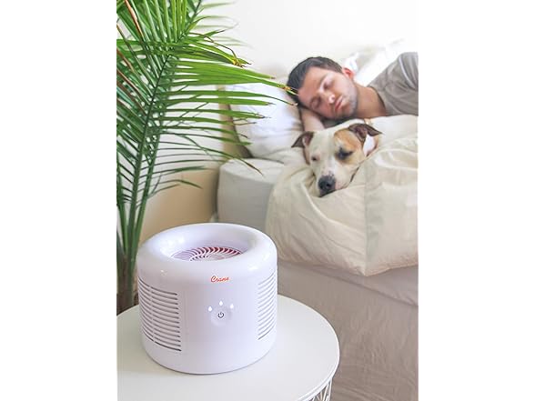 Crane Quiet HEPA Air Purifier