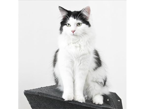 MIUT Large Climber Cat Furniture Wall Mounted Shelves