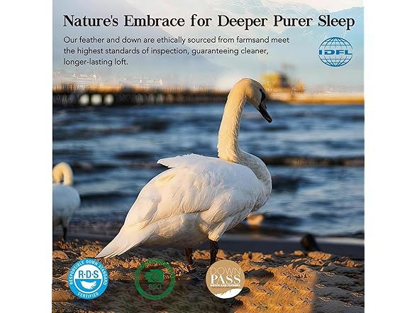 White Feather Down Comforter Twin