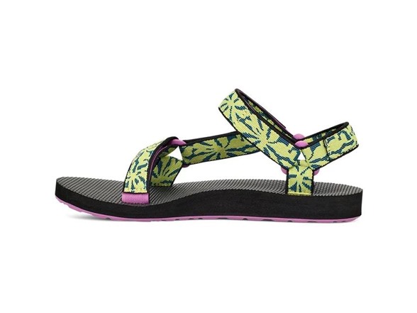 Beach Floral Wild Lime