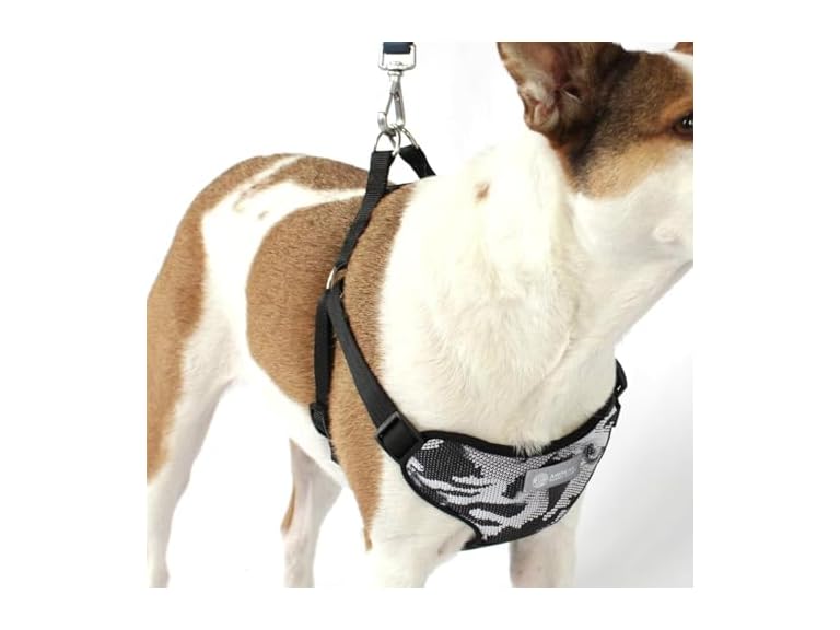 AKC Step-in Camo Dog Harness Small Blue - Gallery 7