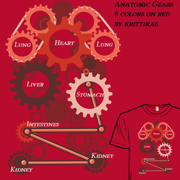 Anatomic Gears
