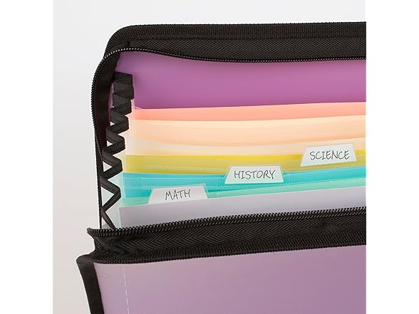 Five Star Five Star Expanding File Organizer