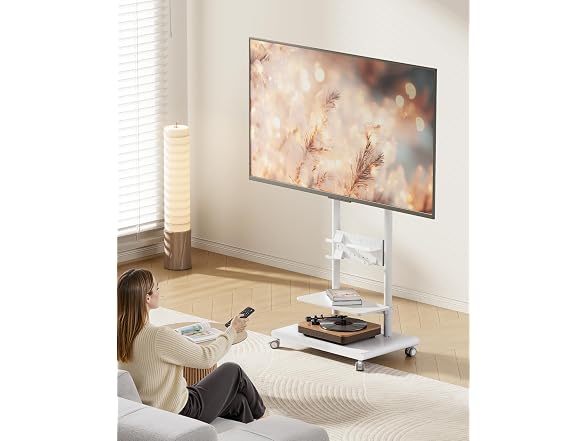 Heavy-Duty Rolling TV Stand