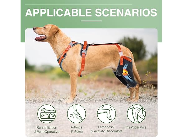 LISPOO Dog Knee Brace for ACL/CCL Injuries,To