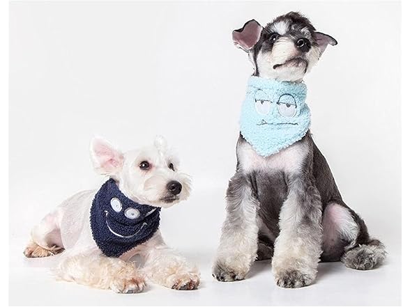 Touchdog ® 'Dizzy-Eyed Pet Bandana
