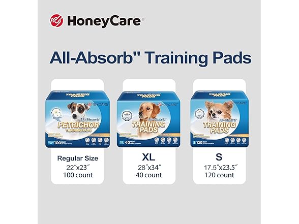 HONEY CARE All-Absorb, Large 22" x 23" 100Ct