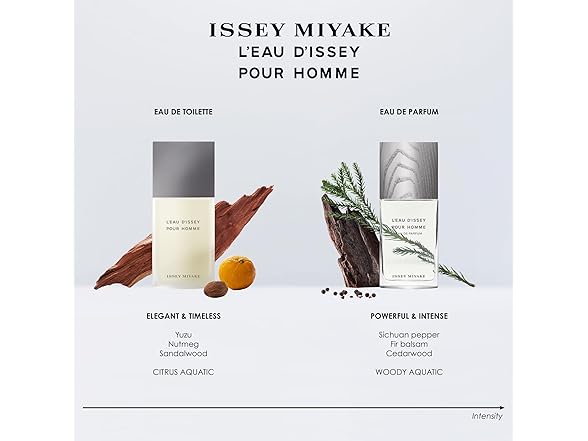 Issey Miyake L'Eau d'Issey Pour Homme After-Shave 3.3 oz.