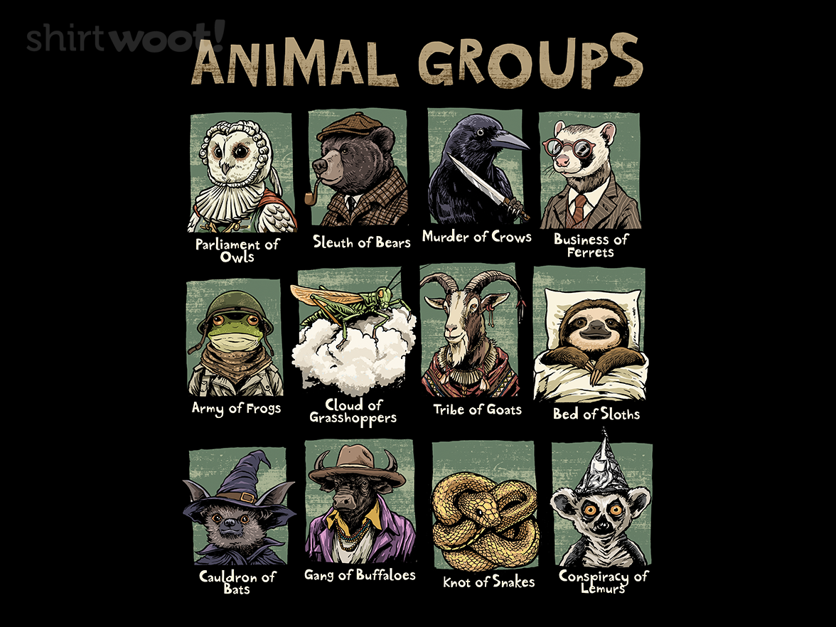 Animal Groups - Gallery 4