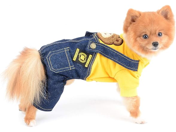 Bear Patch Denim Overalls for Small Dogs, Ye
