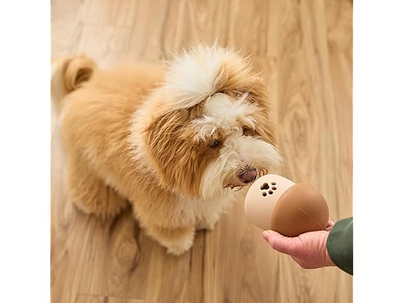 SPOT Treat Tumbler Mushroom – Freezable & Fillable