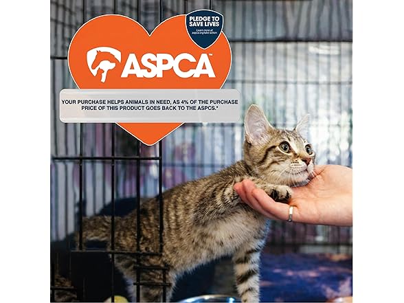 ASPCA Cat Scratching Post for Indoor Cats