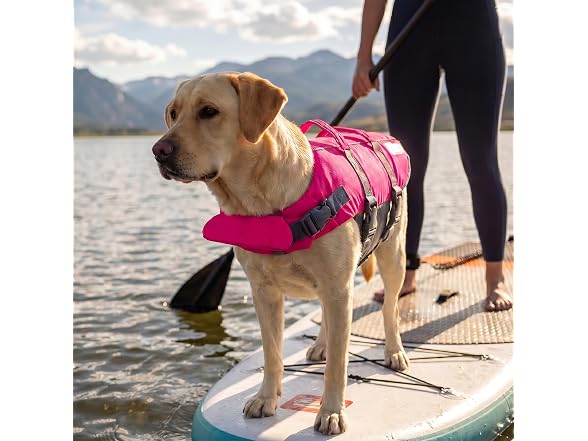 Outward Hound Granby Splash Pink Dog Life Jacket