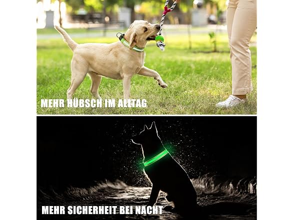 Guuueoo LED Dog Collar, Light Up Dog Collars 