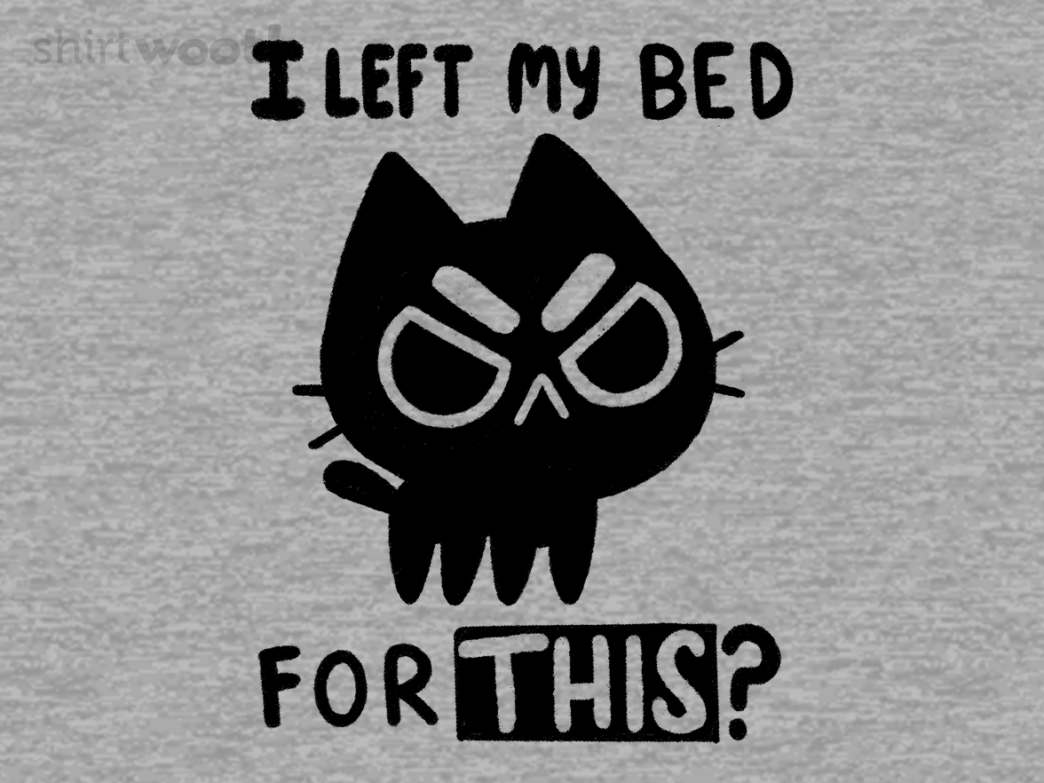 I Left my Bed for This? - Gallery 4