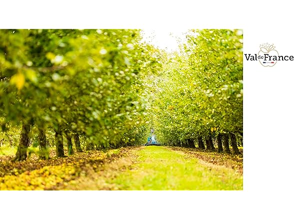 (4pk) Val de France Sparkling Apple Cider - Pear