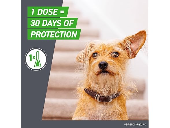 FRONTLINE Plus Flea and Tick Treatment for Large Dog