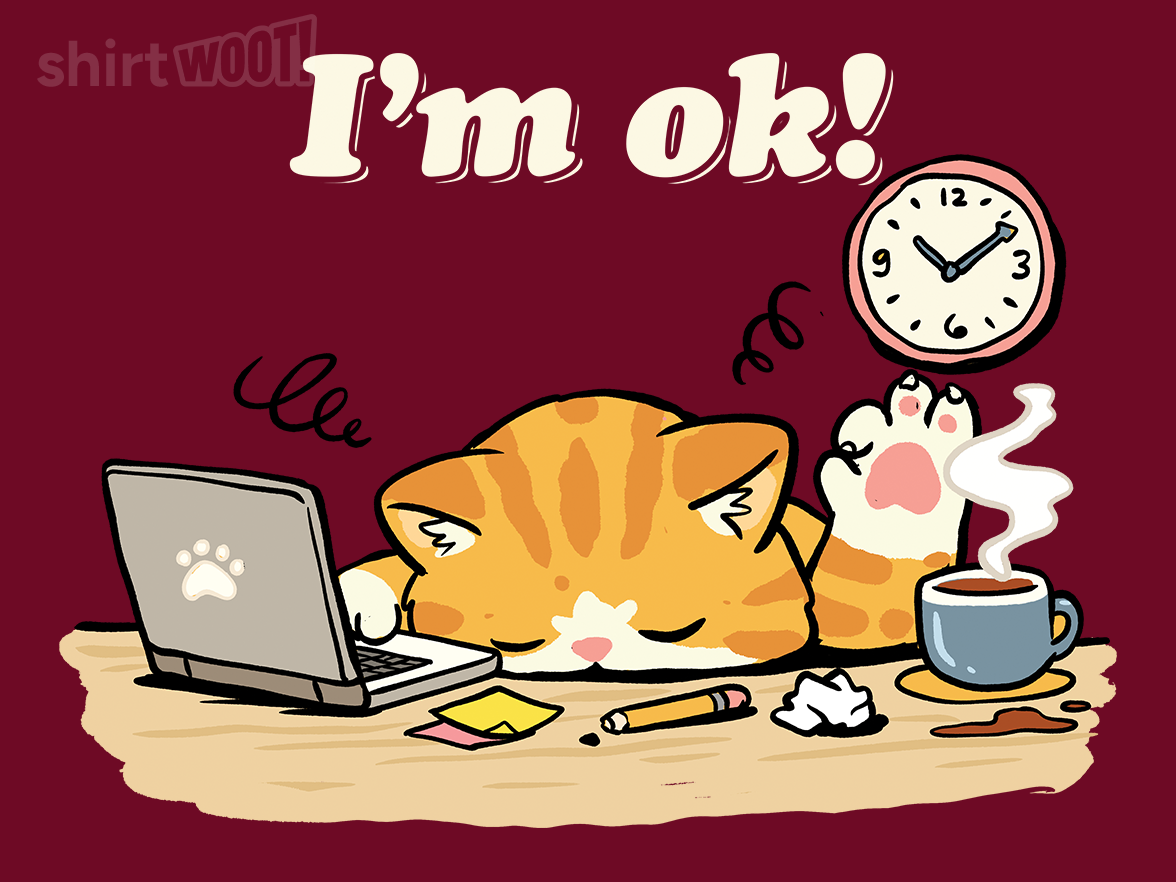 I'm Ok Cat! - Gallery 4