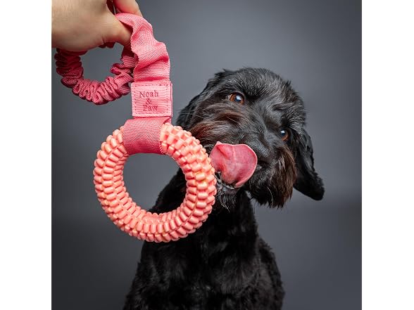 NOAH & PAW Luxury Dog Toy, TPU- Tug Ring, Pink