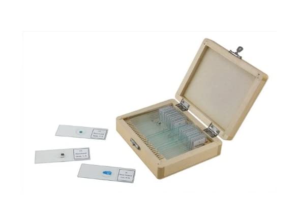 Celestron 100-Piece Prepared Microscope Slides Set - Biology Specimen Collection For Education