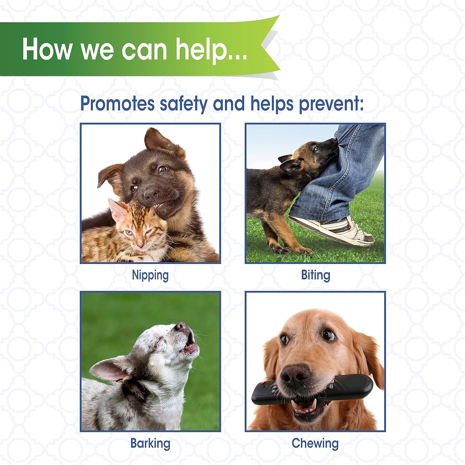Four Paws Walk-About Quick-Fit Dog Muzzle - Gallery 15