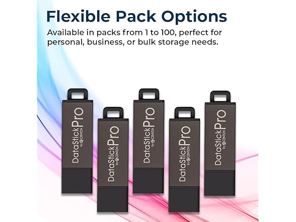 Centon 4GB DataStick Pro by Centon
