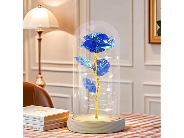 Preserved Rose Flowers Decoration Lights
